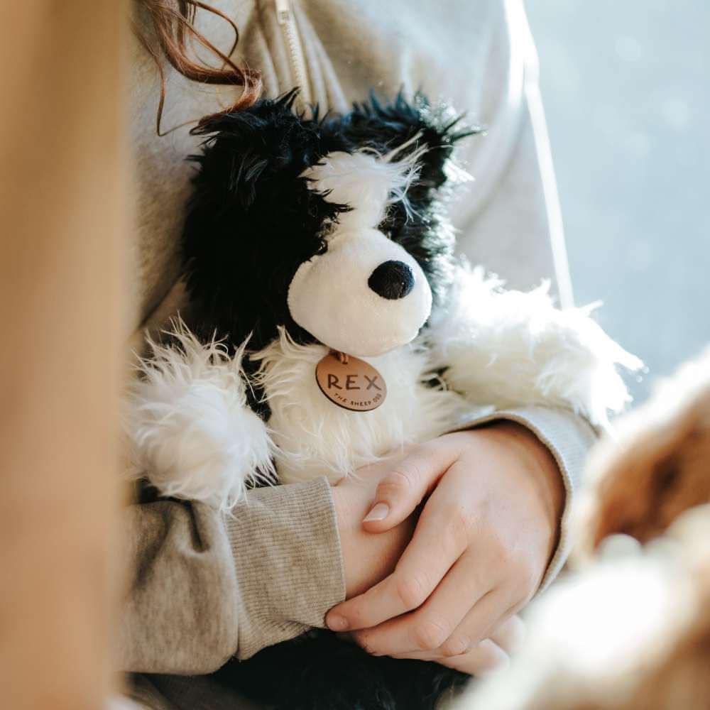 Rex the Sheep Dog Soft Toy