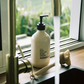Amberjack Hand & Body Lotion