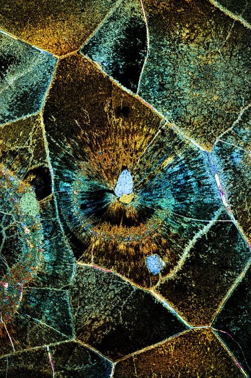 Microscopic Photography - Spherulitic Rhyolite II