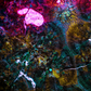 Microscopic Photography - Spherulitic Rhyolite I