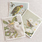 Dishcloth Set - Birds & Botanicals