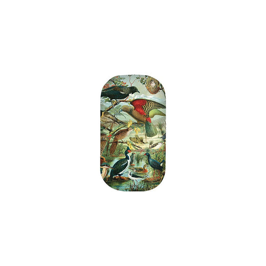 Trinket Box - Native Birds