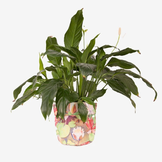 Planter Bag - Rita Angus Waterlillies