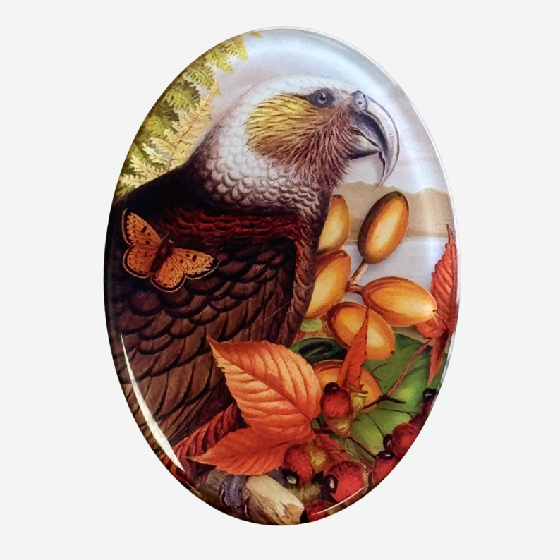 Magnet - Vintage Native Birds (Tanya Wolfkamp)