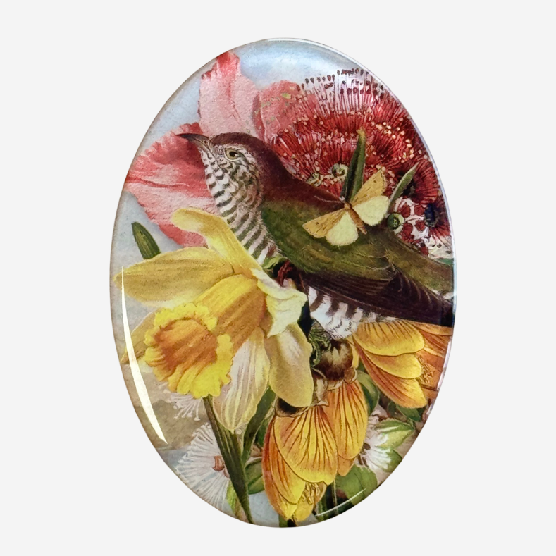 Magnet - Vintage Native Birds (Tanya Wolfkamp)