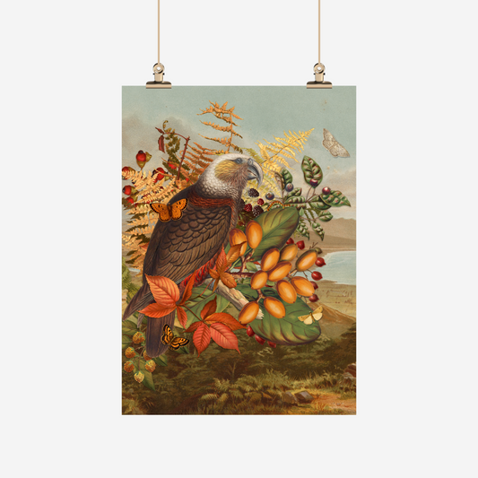 Tea Towel - Kākā (Tanya Wolfkamp)