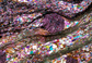 Microscopic Photography - Garnet Schist