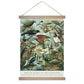 Canvas Wall Chart - Birds of New Zealand