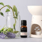 Blue Earth Essential Oil - Lavender