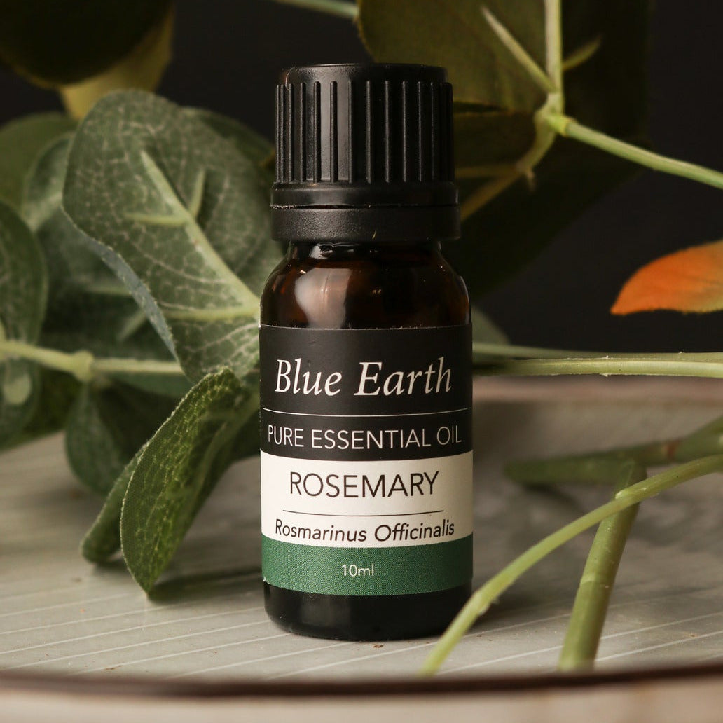 Blue Earth Essential Oil - Rosemary