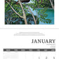 Clare Reilly 2027 Calendar