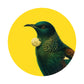 Bright Tui Art Spot
