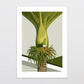 Glenn Jones Art Print - Local Lookout