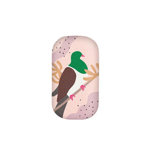 Trinket Box - Kereru