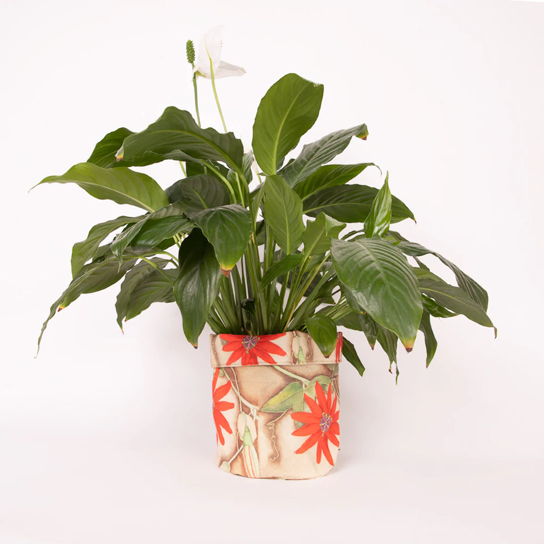 Planter Bag - Rita Angus Passionflower