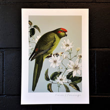 Load image into Gallery viewer, Birds &amp; Botanics Kakariki Bird
