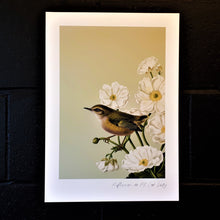 Load image into Gallery viewer, Birds &amp; Botanics Rifleman Bird
