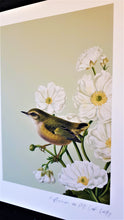 Load image into Gallery viewer, Birds &amp; Botanics Rifleman Bird
