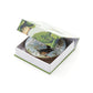 Coaster Set - NZ Birds & Botanicals