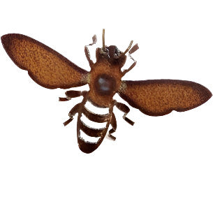 Metal Bee by Jane Downes