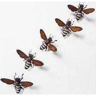 Bee (Small) - Metal Art by Jane Downes