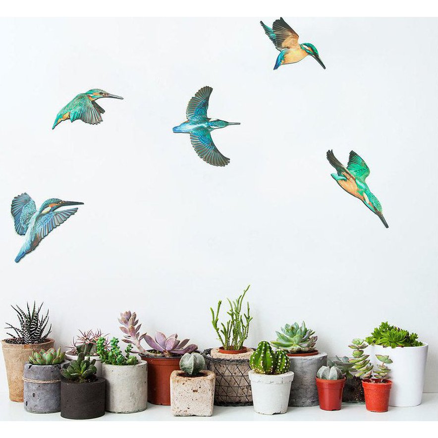 Crystal Ashley Wall Art Set - Kingfishers