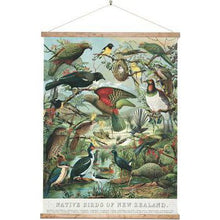 Load image into Gallery viewer, Canvas Wall Chart - Birds of New Zealand
