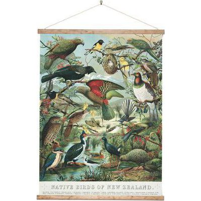 Canvas Wall Chart - Birds of New Zealand