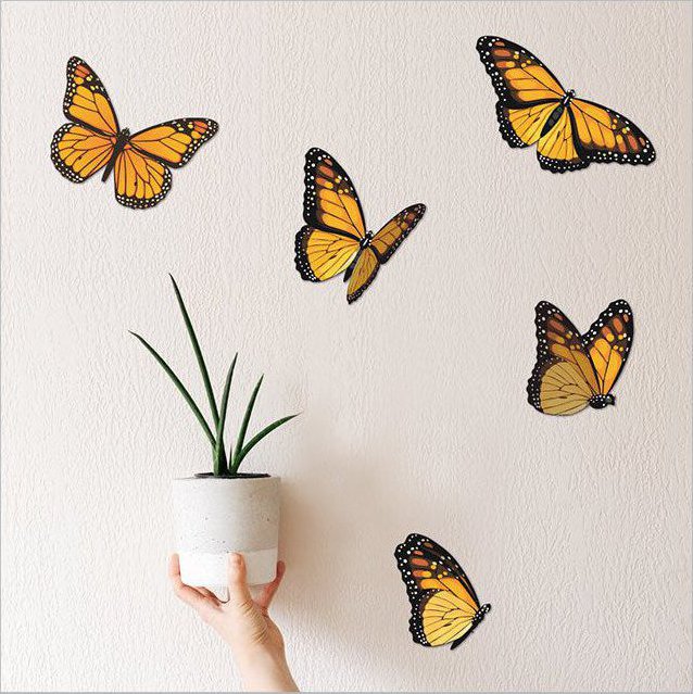 Crystal Ashley Wall Art Set - Monarch