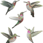 Crystal Ashley Wall Art Set - Hummingbirds