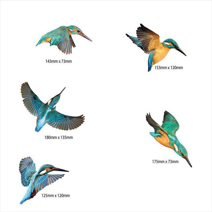 Crystal Ashley Wall Art Set - Kingfishers