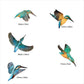Crystal Ashley Wall Art Set - Kingfishers