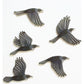 Crystal Ashley Wall Art Set - Tui